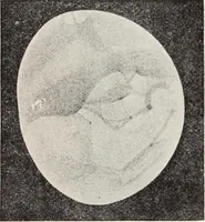 An illustration from Star-land; being talks with young people about the wonders of the heavens (1899)