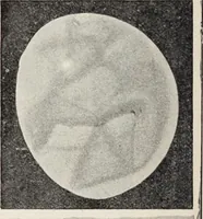 An illustration from Star-land; being talks with young people about the wonders of the heavens (1899)