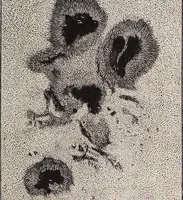 Picture 16 of 83 from Star-land; being talks with young people about the wonders of the heavens (1899), leaf 50