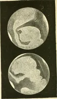 An illustration from Star-land : being talks with young people about the wonders of the heavens (1891)