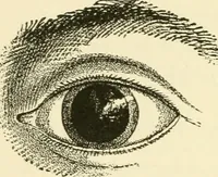 An illustration from Star-land : being talks with young people about the wonders of the heavens (1891)