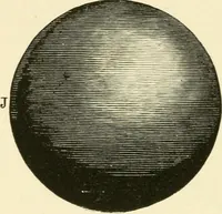An illustration from Star-land : being talks with young people about the wonders of the heavens (1891)