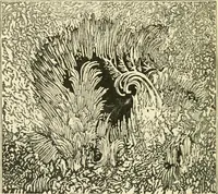 An illustration from Star-land : being talks with young people about the wonders of the heavens (1891)