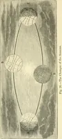 An illustration from Star-land : being talks with young people about the wonders of the heavens (1891)