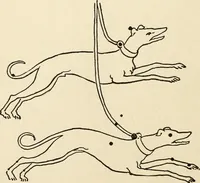 An illustration from Star lore of all ages; a collection of myths, legends, and facts concerning the constellations of the Northern Hemisphere (1911)
