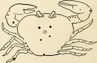 Picture 22 of 120 from Star lore of all ages; a collection of myths, legends, and facts concerning the constellations of the Northern Hemisphere (1911), leaf 137