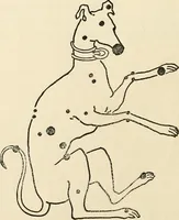 An illustration from Star lore of all ages; a collection of myths, legends, and facts concerning the constellations of the Northern Hemisphere (1911)