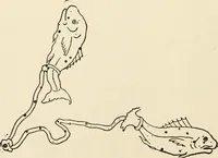 An illustration from Star lore of all ages; a collection of myths, legends, and facts concerning the constellations of the Northern Hemisphere (1911)