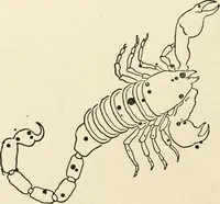 Picture 98 of 120 from Star lore of all ages; a collection of myths, legends, and facts concerning the constellations of the Northern Hemisphere (1911), leaf 443