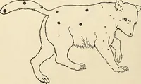 An illustration from Star lore of all ages; a collection of myths, legends, and facts concerning the constellations of the Northern Hemisphere (1911)