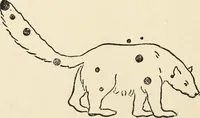 Picture 107 of 120 from Star lore of all ages; a collection of myths, legends, and facts concerning the constellations of the Northern Hemisphere (1911), leaf 495