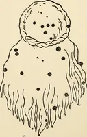Picture 118 of 120 from Star lore of all ages; a collection of myths, legends, and facts concerning the constellations of the Northern Hemisphere (1911), leaf 585
