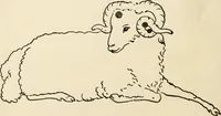 An illustration from Star lore of all ages; a collection of myths, legends, and facts concerning the constellations of the Northern Hemisphere (1911)
