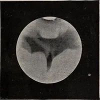 An illustration from The starry skies: or, First lessons on the sun, moon and stars (1894)