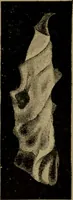 An illustration from Stars and telescopes; a hand-book of popular astronomy, founded on the 9th ed. of Lynn's Celestial motions (1899)