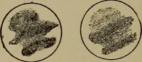 An illustration from Stars and telescopes; a hand-book of popular astronomy, founded on the 9th ed. of Lynn's Celestial motions (1899)