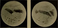 An illustration from Stars and telescopes; a hand-book of popular astronomy, founded on the 9th ed. of Lynn's Celestial motions (1899)