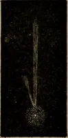 An illustration from Stars and telescopes; a hand-book of popular astronomy, founded on the 9th ed. of Lynn's Celestial motions (1899)
