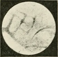 An illustration from Stars and telescopes; a hand-book of popular astronomy founded on the 9th ed. of Lynn's Celestial motions (1901)