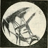 An illustration from Stars and telescopes; a hand-book of popular astronomy founded on the 9th ed. of Lynn's Celestial motions (1901)
