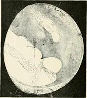 An illustration from Stars and telescopes; a hand-book of popular astronomy founded on the 9th ed. of Lynn's Celestial motions (1901)