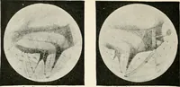 An illustration from Stars and telescopes; a hand-book of popular astronomy founded on the 9th ed. of Lynn's Celestial motions (1901)