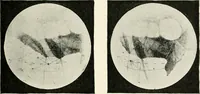 An illustration from Stars and telescopes; a hand-book of popular astronomy founded on the 9th ed. of Lynn's Celestial motions (1901)