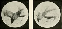 An illustration from Stars and telescopes; a hand-book of popular astronomy founded on the 9th ed. of Lynn's Celestial motions (1901)