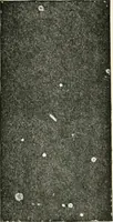 An illustration from Stars and telescopes; a hand-book of popular astronomy founded on the 9th ed. of Lynn's Celestial motions (1901)