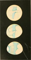An illustration from Stars and telescopes; a hand-book of popular astronomy founded on the 9th ed. of Lynn's Celestial motions (1901)