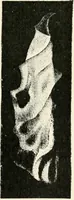 An illustration from Stars and telescopes; a hand-book of popular astronomy founded on the 9th ed. of Lynn's Celestial motions (1901)