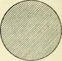 An illustration from The stars and their mysteries : an interestingly written account of the wonders of astronomy, told in simple language (1916)