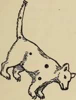 An illustration from The stars and their stories; a book for young people (1913)