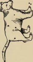 An illustration from The stars and their stories; a book for young people (1913)