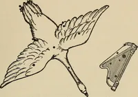 An illustration from The stars and their stories; a book for young people (1913)