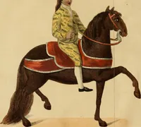 An illustration from The present state of Peru : comprising its geography, topography, natural history, mineralogy, commerce, the customs and manners of its inhabitants, the state of literature, philosophy, and the arts, the modern travels of the missionaries in the heretofore unexplored mountainous territories, &c. &c. (1805)