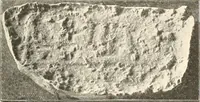 Picture 3 of 245 from Statuen und Statuetten von Königen und Privatleuten im Museum von Kairo, Nr. 1-1294 (1911), leaf 10