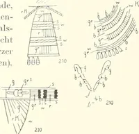 Picture 20 of 245 from Statuen und Statuetten von Königen und Privatleuten im Museum von Kairo, Nr. 1-1294 (1911), leaf 148