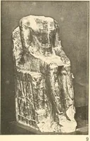 An illustration from Statuen und Statuetten von Königen und Privatleuten im Museum von Kairo, Nr. 1-1294 (1911)