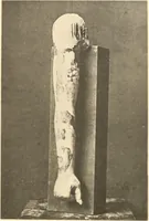 An illustration from Statuen und Statuetten von Königen und Privatleuten im Museum von Kairo, Nr. 1-1294 (1911)