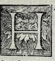 An illustration from Statuti dell'Arte di por Santa Maria (1580)