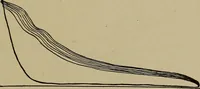 An illustration from Steam engine indicators and valve gears; (1918)
