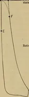 An illustration from The steam-engine and other heat-motors (1909)