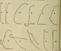 An illustration from The steam-engine and other heat-motors (1909)