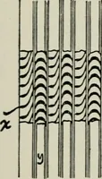 An illustration from Steam turbine engines : their construction, care and operation (1910)