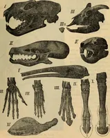 An illustration from Steiger's kindergarten catalogue (1900)