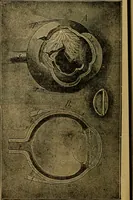 Picture 62 of 81 from Steiger's kindergarten catalogue (1900), leaf 101