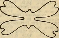 An illustration from Steiger's kindergarten catalogue (1900)
