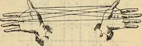 An illustration from Steiger's kindergarten catalogue (1900)