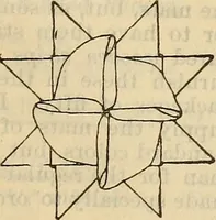 An illustration from Steiger's kindergarten catalogue (1900)